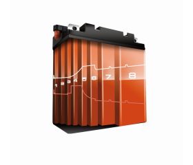 Mantenedor/cargador totalmente automático de 3 A para baterías LiFeP04 de litio y plomo-ácido de 12 V | BBCE12-3